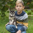 PRODM TATA ALASKAN KLEE KAI