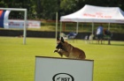 Belgick ovk malinois - tata s PP