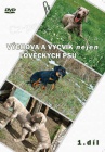 DVD Vchova a vcvik nejen loveckch ps