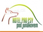 hotel pro psy