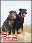 Beauceron - boseron - tn na prodej