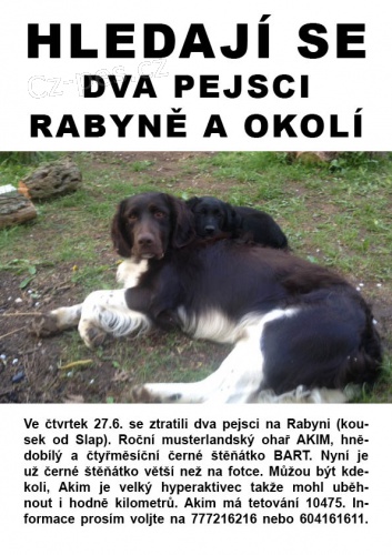 Hledaj se dva pejsci - rabyn a okol