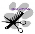 Ps salon Strahov