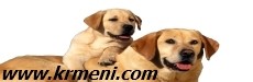 www.krmeni.com