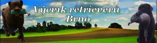 VCVIK RETRIEVER v Brn