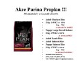 Akce Purina Proplan!!