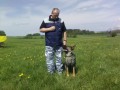 K-9 TRAINING - KYNOLOGICK SLUBY