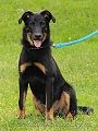 Prodm Beaucerona