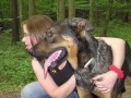 Mladho kence beaucerona do dobrch rukou !